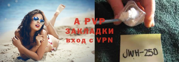 стафф Арсеньев