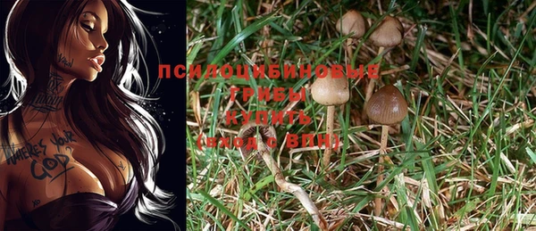 каннабис Армянск