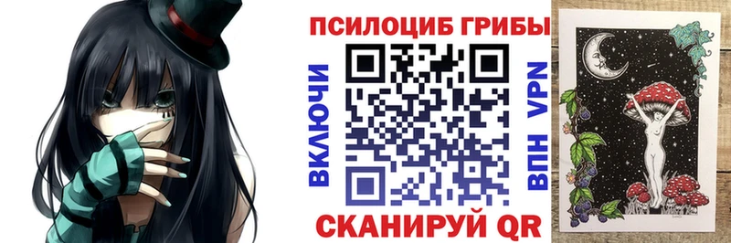 Купить закладки  Яхрома  Галлюциногенные грибы Cubensis 