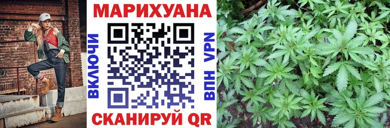 Шишки марихуана план Яхрома